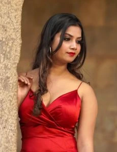 call girl service in Alangudi